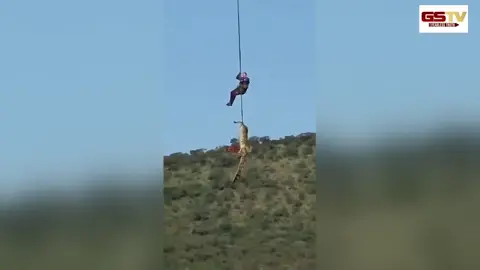 Viral Video: ગુમ થયેલા ઉદ્યોગપતિની શોધખોળમાં મોટો ખુલાસો; મગરના શરીરમાંથી મળી આવ્યા માનવ અવશેષો