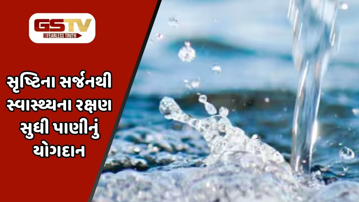 Shatdal : ત્વચાનું તેજ, યાદશક્તિમાં વધારો અને ગંભીર રોગો સામે રક્ષણ, ઉનાળામાં આરોગ્ય જાળવવા જાણો પાણીનું મહત્ત્વ