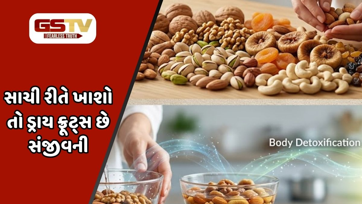 Health Tips : ડ્રાય ફ્રૂટ્સને પલાળીને ખાવા કે સીધા જ? જાણો કેવી રીતે શરીરને કરશે ઝેર મુક્ત? 