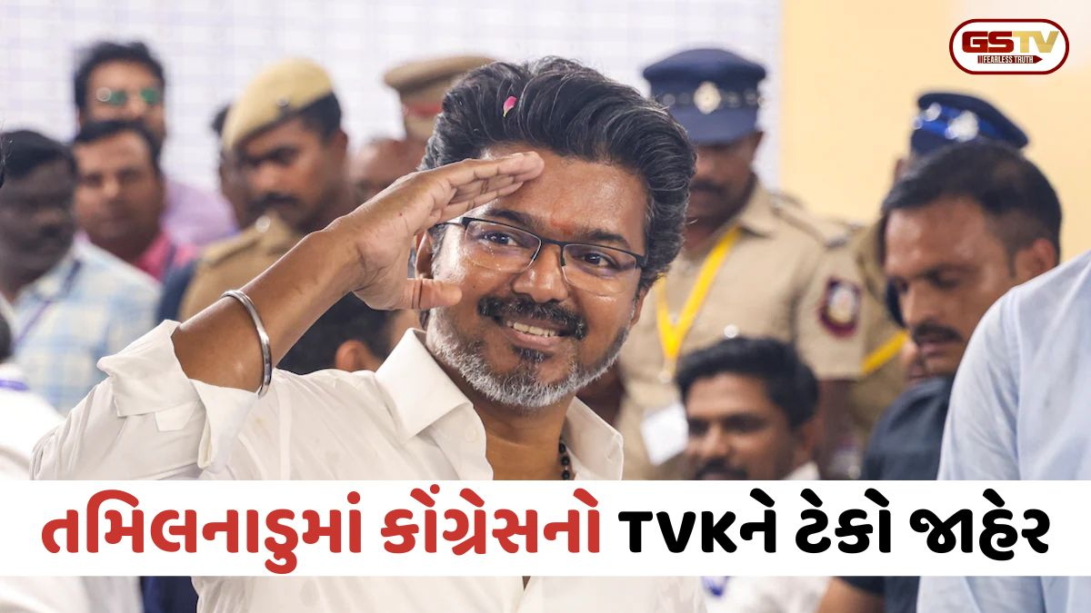 કોંગ્રેસે વિજયની TVKને ટેકો જાહેર કરતા DMK ભડકી; કહ્યું- કોંગ્રેસે પીઠમાં છરો ભોંક્યો