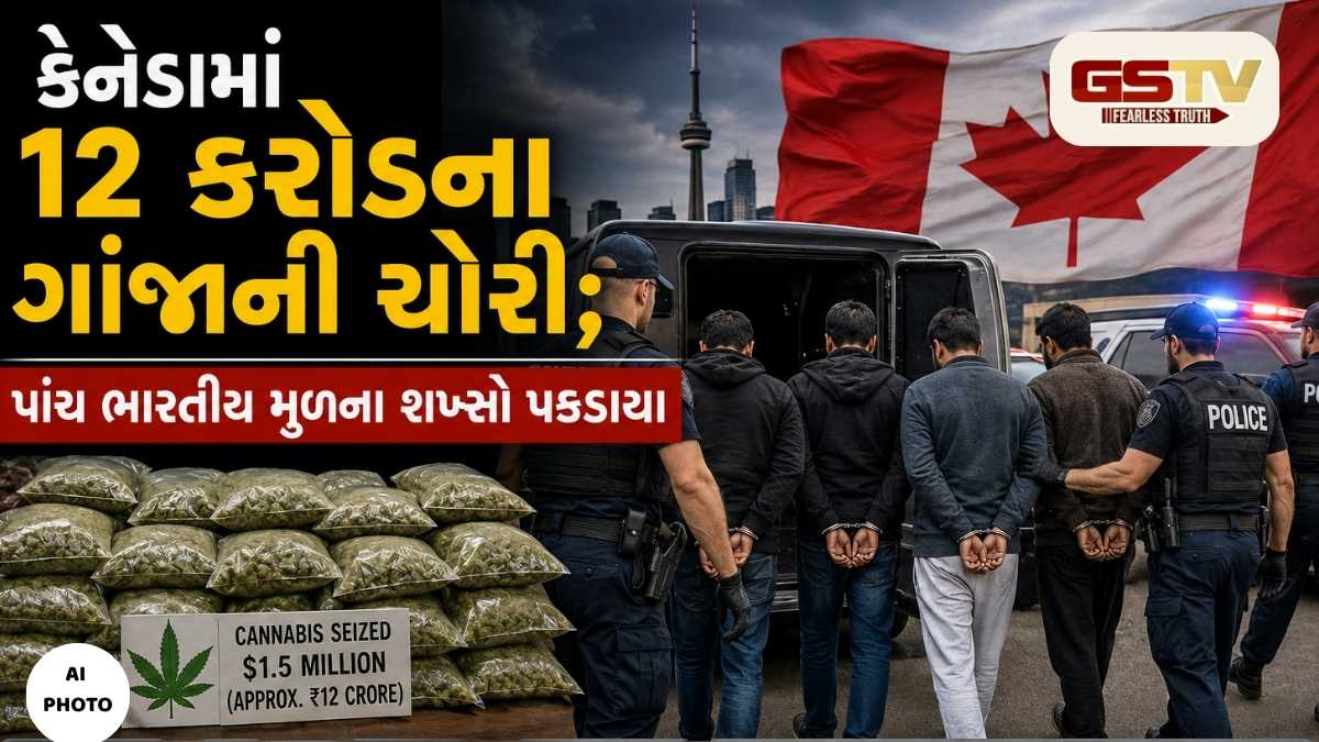 કેનેડામાં 12 કરોડના ગાંજાની ચોરી; પાંચ ભારતીય મૂળના શખ્સો પકડાયા