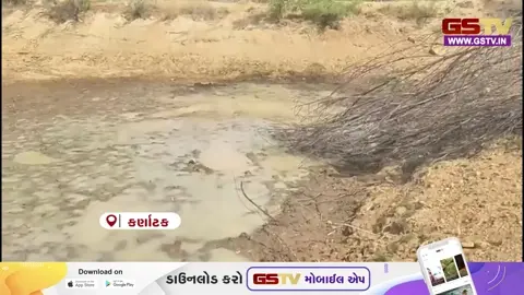 VIDEO: કર્ણાટકના એમગૌડાના જંગલમાં જળાશયો તળિયાઝાટક, પાણીના અભાવે 10થી વધુ વન્યજીવના મોત