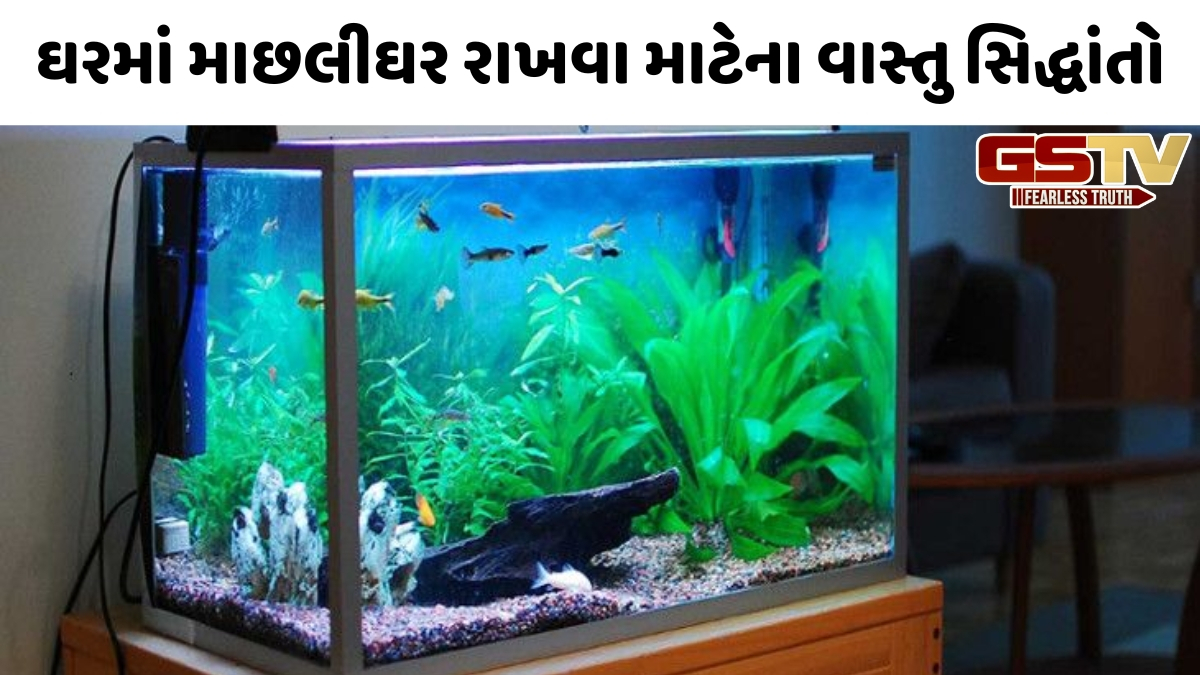 Vastu: માછલીઘરને યોગ્ય દિશામાં મૂકશો, તો ઘરમાં આવશે સંપત્તિ, પ્રગતિ અને સકારાત્મક ઉર્જા
