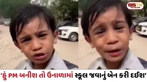 'જ્યારે હું PM બનીશ ત્યારે ઉનાળામાં સ્કૂલ જવાનું બેન કરી દઈશ', કાળઝાળ ગરમીમાં શાળાએ જતાં બાળકનો વીડિયો વાયરલ