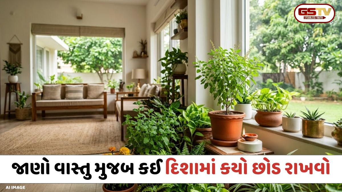 Religion: ખોટી દિશામાં રાખેલા છોડ લાવી શકે છે આર્થિક મુશ્કેલી; જાણો વાસ્તુ મુજબ કઈ દિશામાં કયો છોડ રાખવો