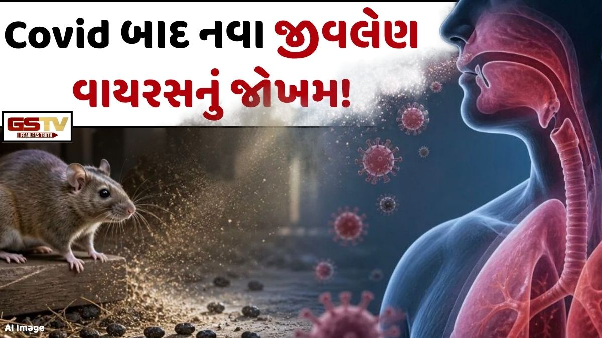 કોરોના બાદ નવા જીવલેણ વાયરસની દસ્તક! ઉંદરોના સંપર્કથી ફેલાય છે આ રોગ