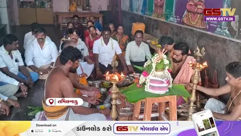 VIDEO : તમિલનાડુમાં વિજય CM બને તે માટે પ્રાર્થના, કડ્ડલોરમાં TVK કાર્યકર્તાઓએ કરી ખાસ ધાર્મિક વિધિ