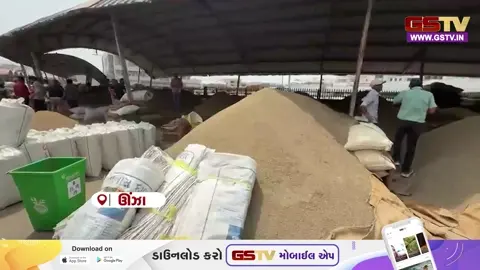 VIDEO/ ઊંઝા ગંજબજારમાં જીરાના ભાવમાં મોટું ગાબડું: ૨૦ કિલોએ ૨૦૦ રૂપિયાનો ઘટાડો