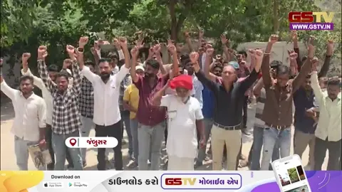 VIDEO/ જંબુસર: 'ગૌમાતાને રાષ્ટ્રમાતા જાહેર કરો', હજારો હિન્દુઓના હસ્તાક્ષર સાથે નાયબ કલેક્ટરને આવેદન