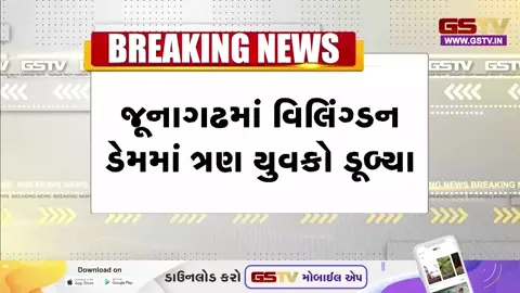 VIDEO: જૂનાગઢના વિલિંગ્ડન ડેમમાં ન્હાવા પડેલા ત્રણ યુવકોનું ડૂબી જવાથી મોત, મૃતદેહો પીએમ અર્થે ખસેડાયા