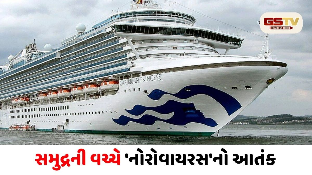 ક્રૂઝ શિપ પર નોરોવાયરસનો આતંક: 3100થી વધુ મુસાફરો ભરેલા જહાજમાં મચી ભાગદોડ, 115 બીમાર 