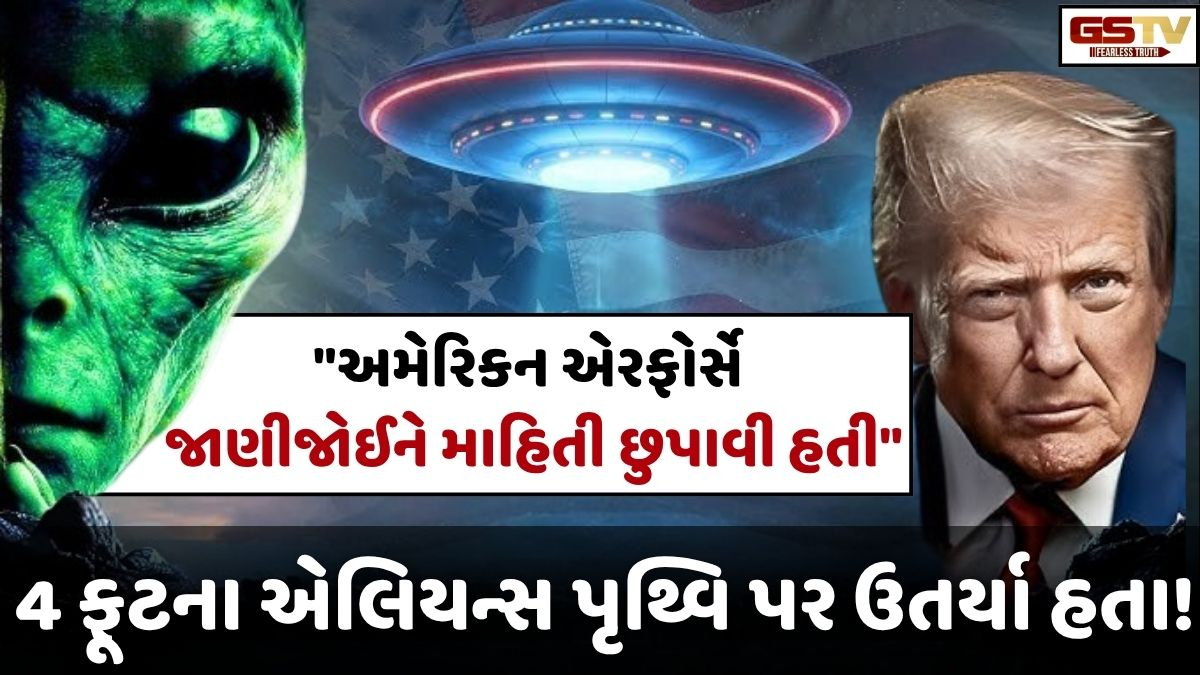 4 ફૂટના એલિયન્સ પૃથ્વિ પર ઉતર્યા હતા! UFOની ગુપ્ત ફાઈલ્સમાં ચોંકાવનારો ઘટસ્ફોટ
