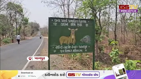 VIDEO: મહીસાગરમાં સુકાઈ ગયા કુદરતી જળ સ્ત્રોતો, વન્યપ્રાણીઓ માટે તૈયાર કરાયા 44 જેટલા કૃત્રિમ જળકુંડ