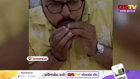 VIDEO/ Banaskantha: મોત સામે જંગ જીત્યું ટીટોડીનું બચ્ચું, વાઈલ્ડ લાઈફ એક્સપર્ટે 'માઉથ ટુ માઉથ' CPR આપી બચાવ્યો જીવ