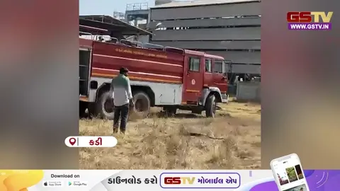 VIDEO : કડીના કલ્યાણપુરામાં વીજ લાઈનમાં શોર્ટ સર્કિટથી ખેતરમાં ભીષણ આગ, ડાંગરનો તૈયાર પાક બળીને ખાખ