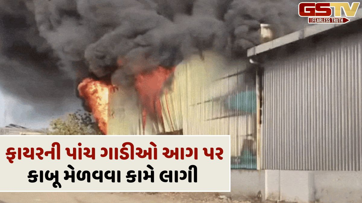Ahmedabad News: સાણંદના મોરૈયામાં એક કંપનીમાં લાગી વિકરાળ આગ, દૂર-દૂર સુધી જોવા મળ્યા ધુમાડાના ગોટેગોટા