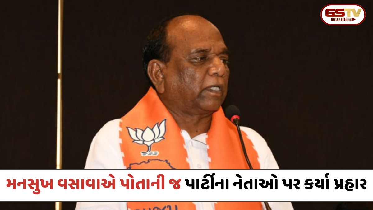 Narmada: 'જિલ્લા પ્રમુખ રાક્ષસી વૃત્તિનો, પ્રભારી કઠપૂતળી જેવો છે',મનસુખ વસાવાએ પોતાની જ પાર્ટીના નેતાઓ પર કર્યા આકરા પ્રહાર