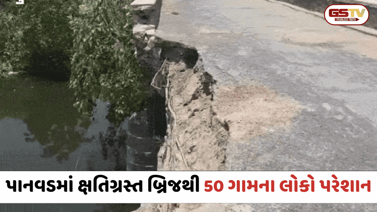 Chhota Udaipur / પાનવડમાં 1 વર્ષથી બ્રિજ બિસ્માર હાલતમાં; તંત્રની ઘોર બેદરકારીથી 50 ગામના લોકો પરેશાન
