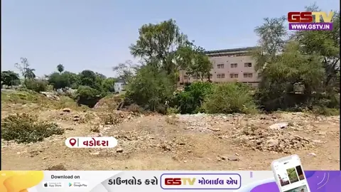 VIDEO: વડોદરામાં વિશ્વામિત્રી નદીને સાફ કરવાની કામગીરી સામે હવે આક્ષેપો ઉઠ્યા
