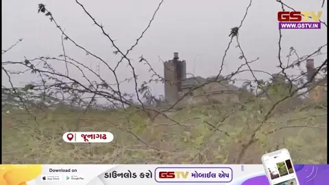 VIDEO/ ગીર: સિંહોના કોરિડોરને 'ગાયબ' કરી માઇનિંગ માટે જમીન ફાળવવાનો કારસો, પર્યાવરણપ્રેમીઓમાં રોષ