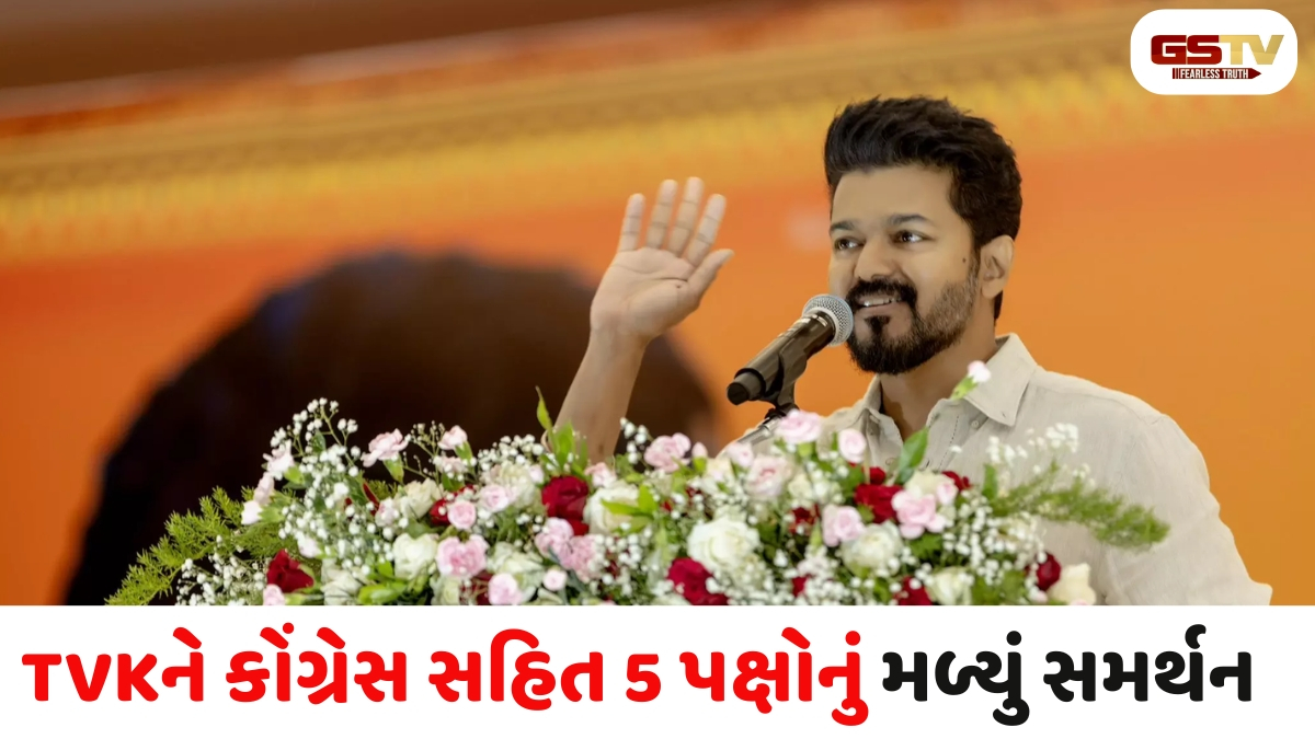 તમિલનાડુમાં 'થલાપતિ' યુગ: આજે સવારે 10 વાગ્યે વિજય લેશે મુખ્યમંત્રી પદના શપથ, રાજકારણમાં મોટો ઉલટફેર!