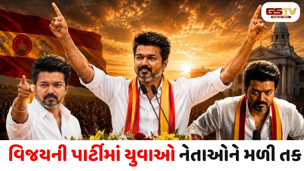 ડિજિટલ વોરિયર્સ, ડોકટરો અને યુવા ચહેરાઓ... વિજય કેબિનેટમાં એક નવું સમીકરણ ઉભરી આવ્યું છે, સંપૂર્ણ યાદી જુઓ