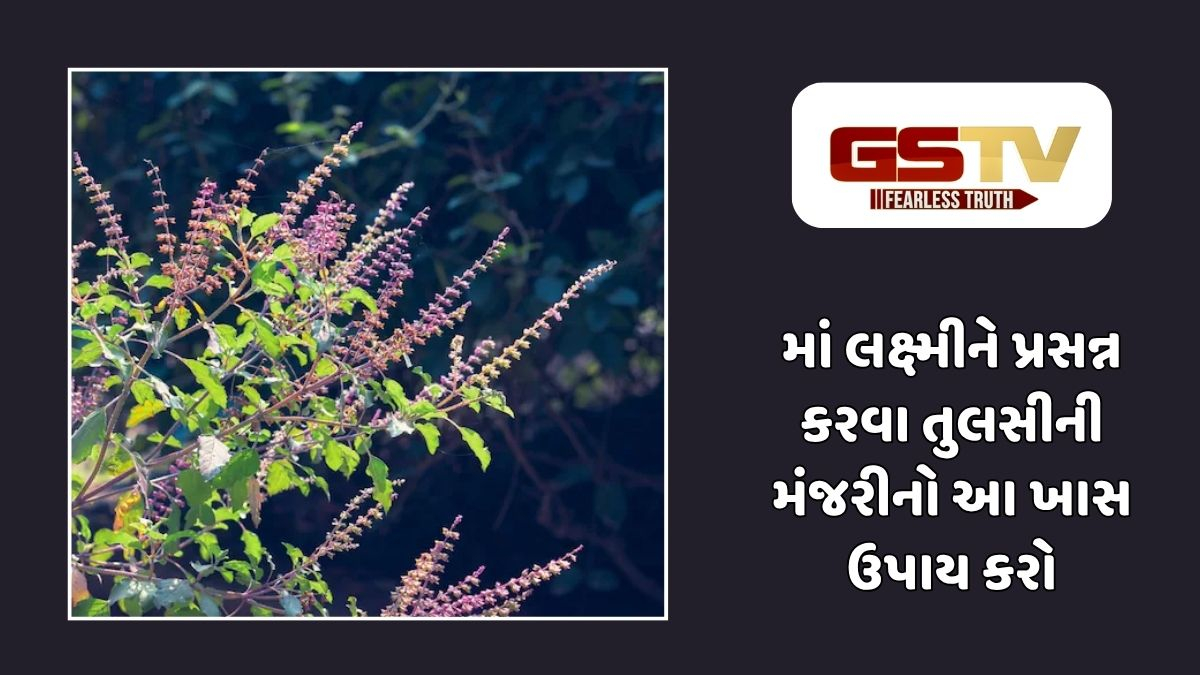 Religion : ઘરમાં આ જગ્યાએ ગુપ્ત રીતે રાખો તુલસીની મંજરી, દેવી લક્ષ્મીની કૃપાથી થશે ધનનો અવિરત વરસાદ!