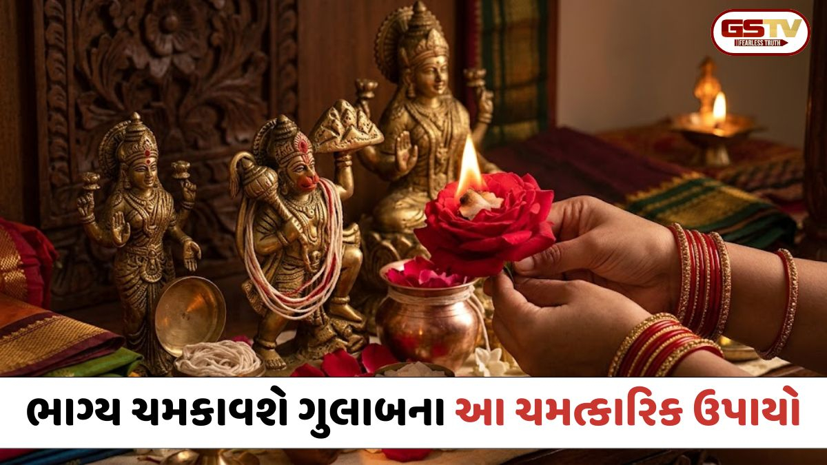 Religion: ભાગ્ય ચમકાવશે ગુલાબના આ ચમત્કારિક ઉપાયો; દેવી લક્ષ્મી અને હનુમાનજીની મળશે અસીમ કૃપા