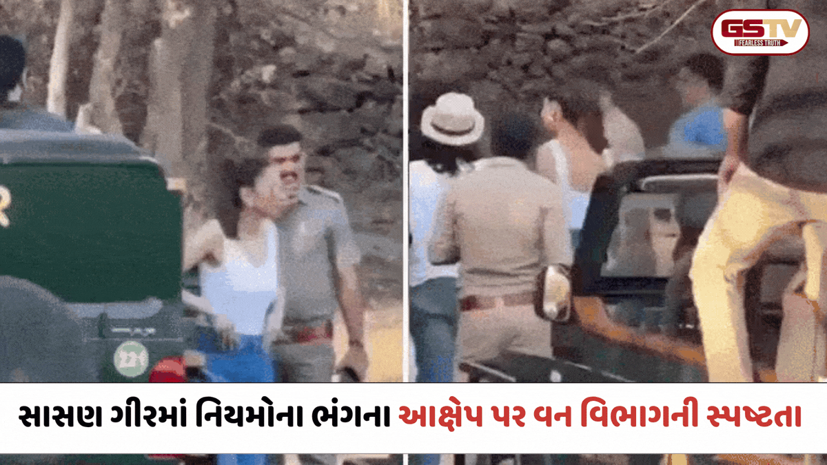 અભિનેત્રી રકુલ પ્રીત સિંહે સાસણ ગીરમાં નિયમો તોડ્યા? વાઈરલ વીડિયો પર વન વિભાગની સ્પષ્ટતા