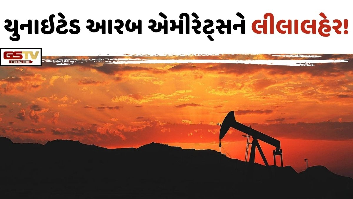 Business Plus: ક્રૂડના કારણે આરબ દેશો સમૃદ્ધિમાં આળોટી રહ્યા છે!