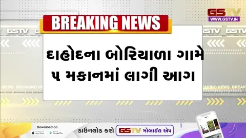 VIDEO: Dahod / બોરિયાળા ગામમાં લાગી ભીષણ આગ; એકસાથે 5 મકાનો બળીને ખાખ, પશુઓના કરુણ મોત