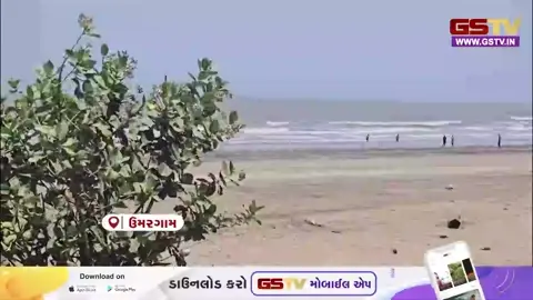 VIDEO: વલસાડ / ઉમરગામના દરિયા કિનારે હવે પ્રદૂષણનું મોટું જોખમ