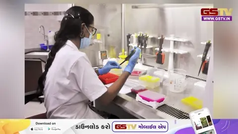 VIDEO/ હંટા વાયરસની દહેશત: સ્પેનમાં ડચ જહાજ રોકી મુસાફરોને ઉતારાયા, બે ભારતીયો ક્વોરેન્ટાઇન