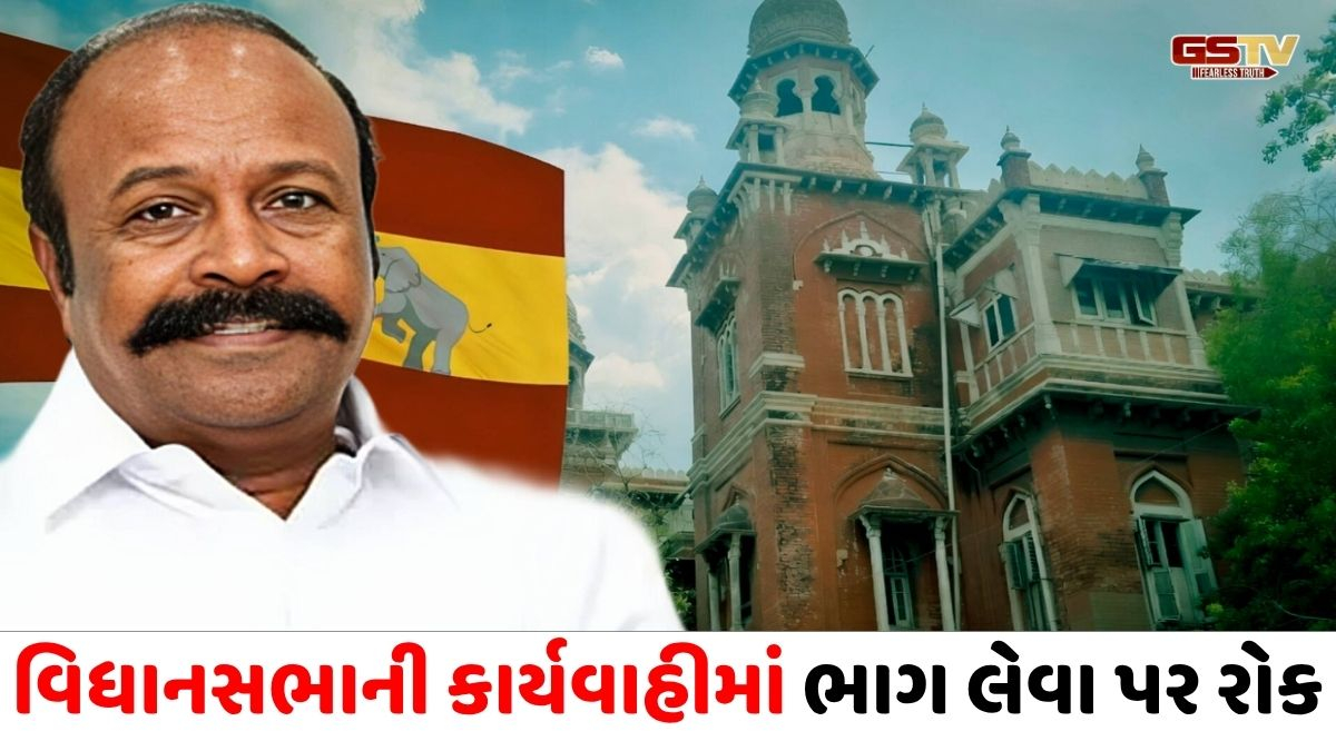 તમિલનાડુમાં 'ફ્લોર ટેસ્ટ' પહેલા જ ખળભળાટ, મદ્રાસ હાઈકોર્ટે TVK ધારાસભ્યને વોટિંગમાંથી કર્યા બહાર