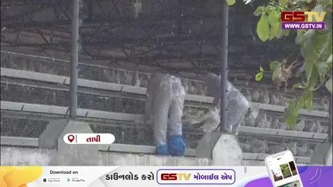 VIDEO: મહારાષ્ટ્રમાં બર્ડ ફ્લુની પુષ્ટિ થતાં તાપી જિલ્લામાં એલર્ટ, વહીવટી તંત્રએ બહાર પાડ્યું જાહેરનામું