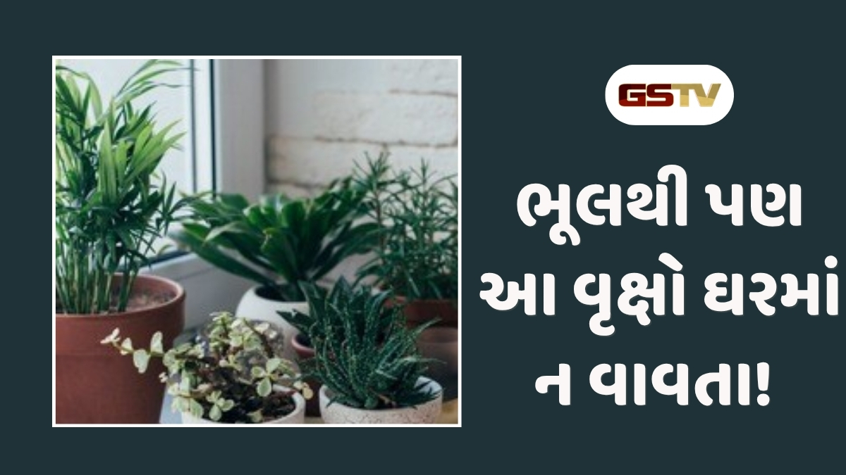 Vastu Tips : ઘર માટે અશુભ માનવામાં આવે છે આ વૃક્ષો, જે તમારા જીવનમાં લાવી શકે છે આર્થિક તંગી