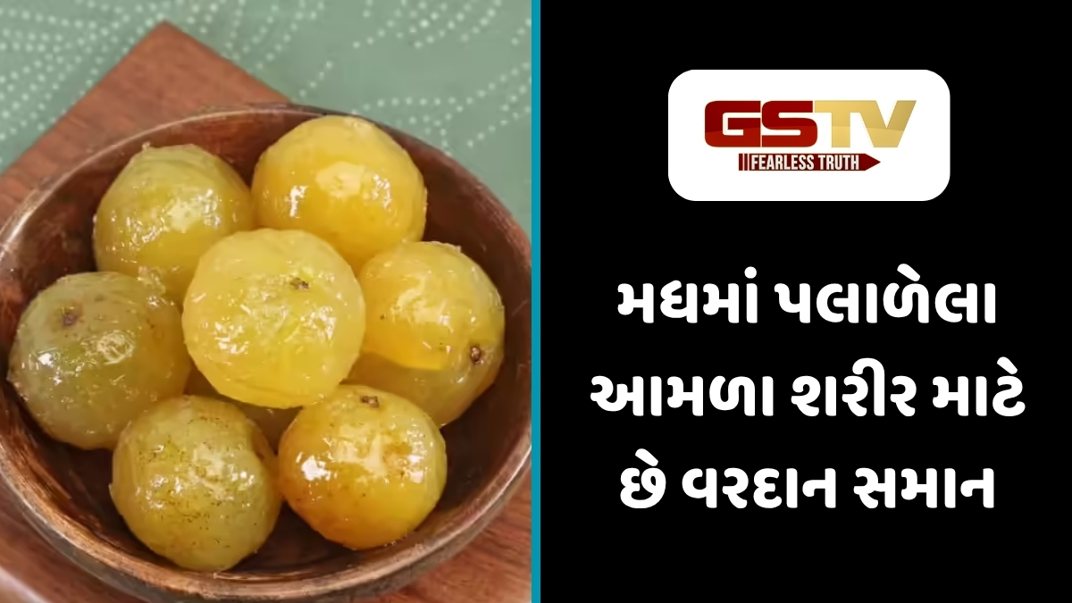 Health Tips : મધમાં પલાળેલા આમળા: લાંબુ આયુષ્ય અને ઇમ્યુનિટી મજબૂત કરવાના રામબાણ નુસખા