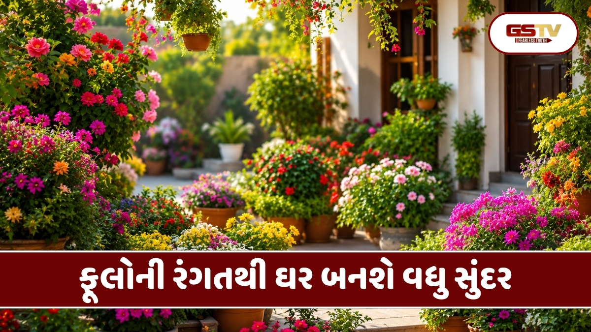 Sahiyar : રંગબેરંગી ફૂલોની સુગંધથી મહેકશે તમારું આંગણું