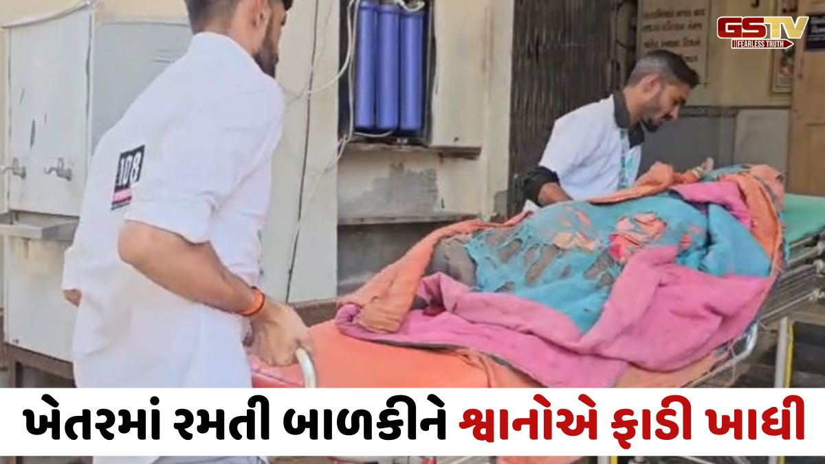 Amreli news: ખેતરમાં રમતી બાળકી પર શ્વાનોનો હુમલો, પિતાની નજર સામે જ દીકરીએ તોડ્યો દમ