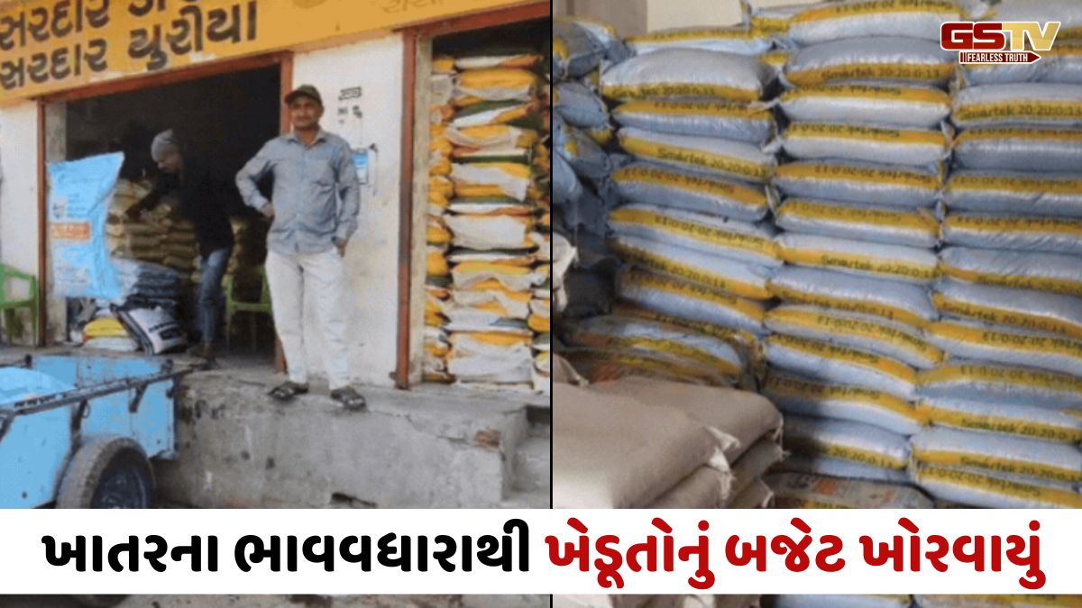 Amreli news: રાસાયણિક ખાતરના ભાવવધારાથી ખેડૂતોમાં ભારે રોષ, સરકારને કરી આ માગ