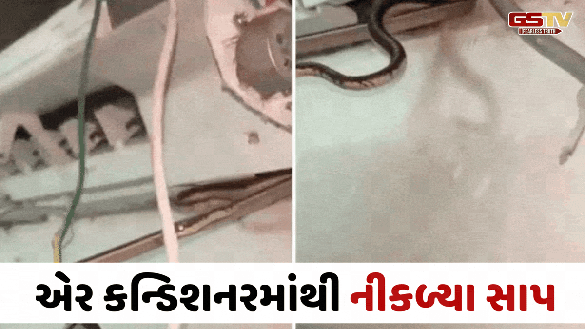 Valsadના પારડીમાં ACમાંથી ઠંડી હવાને બદલે નીકળ્યા 3 સાપ! સરિસૃપોને રેસ્ક્યૂ કરીને જંગલમાં છોડાયા