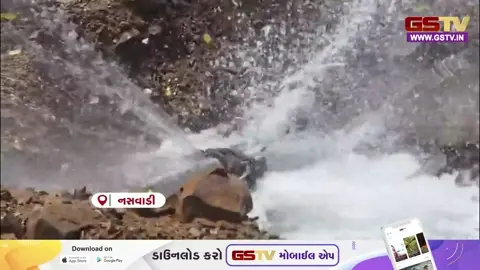 VIDEO : પાણી પુરવઠા વિભાગની ઘોર બેદરકારી, નસવાડીની ગનીયાબારી પાસે લીકેજથી ફિલ્ટર થયેલું પાણી વેડફાયું