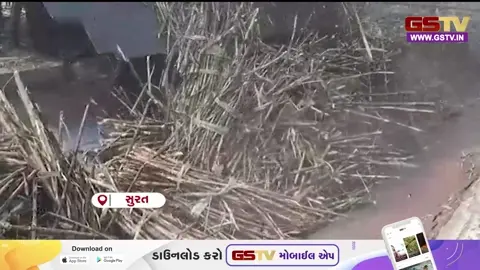 VIDEO: કેન્દ્ર સરકારે ખાંડની નિકાસ પર મૂક્યો પ્રતિબંધ, જાણો દક્ષિણ ગુજરાતની સુગર મિલો સાથે શું થશે