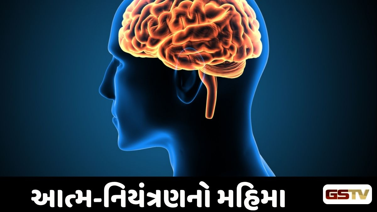 Dharmlok : મન આપણું સેવક છે, માલિક નહીં: મન પર વિજય મેળવવાની ચાવી