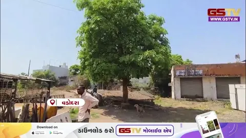 VIDEO : Vadodara ગાજરાવાડી પાણીની ટાંકીના સંપમાં એક વર્ષથી મોટું બાકોરું, તંત્રની ઘોર બેદરકારીથી રહીશોમાં રોગચાળાનો ફફડાટ