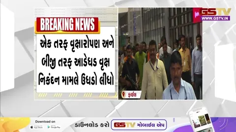 VIDEO: અમદાવાદમાં વૃક્ષોના આડેધડ નિકંદન મામલે કેન્દ્રીય ગૃહમંત્રી અમિત શાહે અધિકારીઓનો લીધો ઉધડો, આપ્યા આ આદેશ