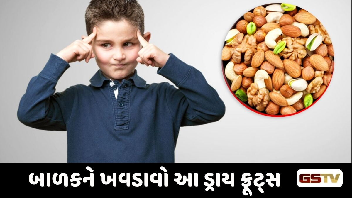 Parenting Tips: બાળકની યાદશક્તિ થશે સુપરફાસ્ટ, આ ડ્રાય ફ્રૂટ્સ  વધારશે બાળકોની એકાગ્રતા અને બ્રેઈન પાવર