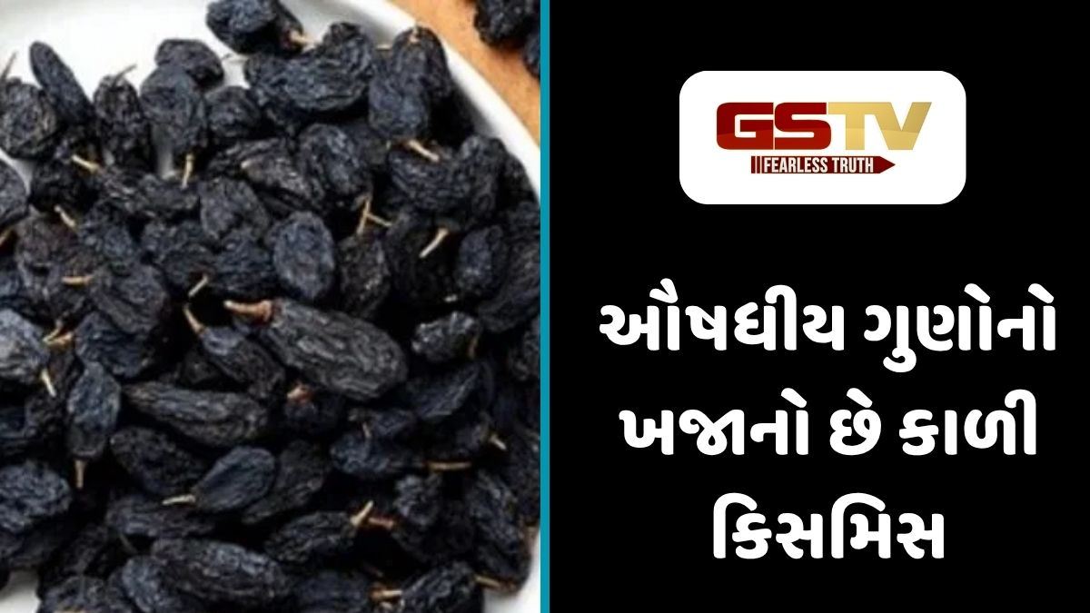 Health Tips : બ્લેક કિસમિસનું સેવન સ્વાસ્થ્ય માટે કેમ માનવામાં આવે છે વરદાન? જાણો ખાવાની સાચી રીત 