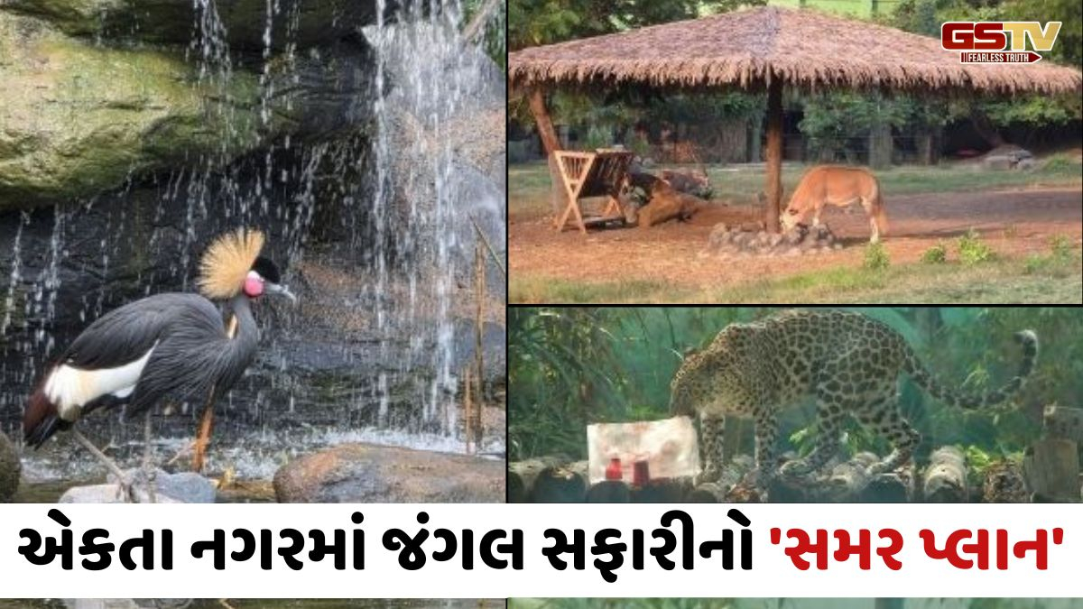 Narmada news: જંગલ સફારીના 1500 પશુ-પક્ષીઓને ગરમીથી બચાવવા કરાઈ ખાસ વ્યવસ્થા, એસી, કુલર અને સ્પ્રિંકલર ગોઠવાયા