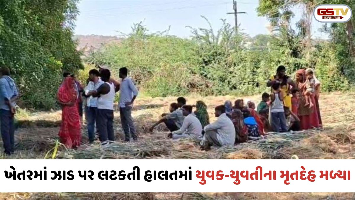 Sabarkantha: ખેડબ્રહ્મામાં હૃદયદ્રાવક ઘટના; હરણાવ નદી પાસેના ખેતરમાં ઝાડ પર યુવક-યુવતીના લટકતી હાલતમાં મૃતદેહ મળ્યાં